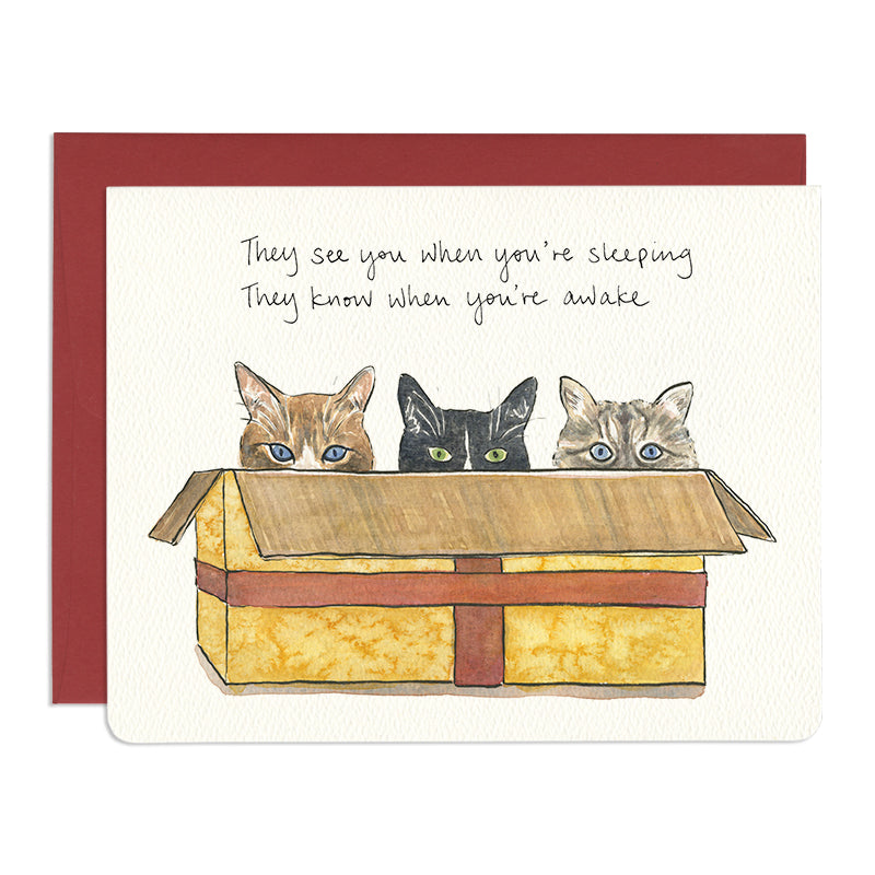 Cats in a Box - Holiday Card