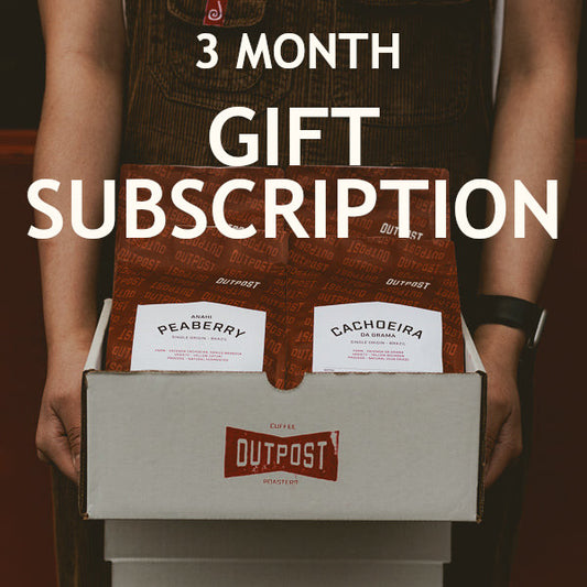 Gift Subscription - 3 Months