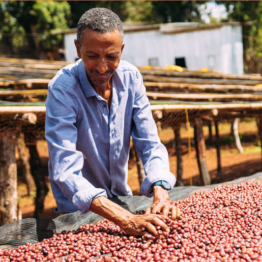 Ethiopia - Guji
