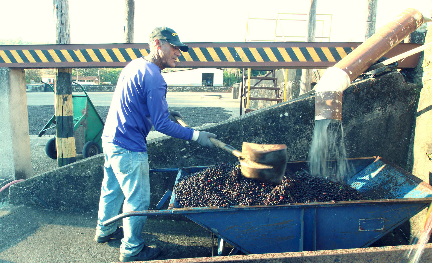 Brazil - Cachoeira Da Grama - Natural - Outpost Coffee Roasters